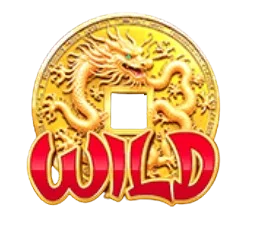 Wild Symbol