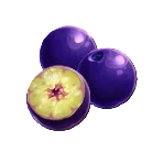 Açaí Berry