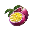Pomegranate
