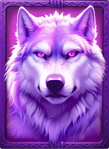 Purple Wolf