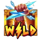 Wild Symbol