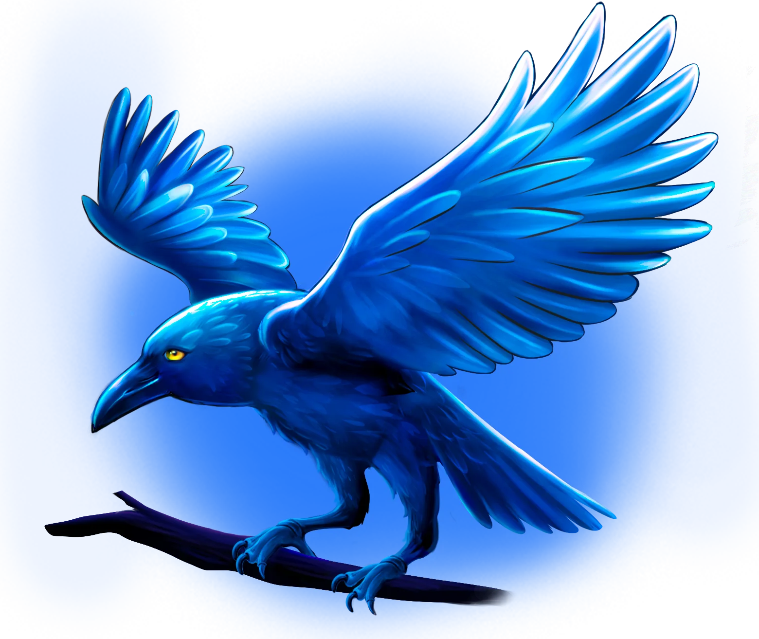 Raven