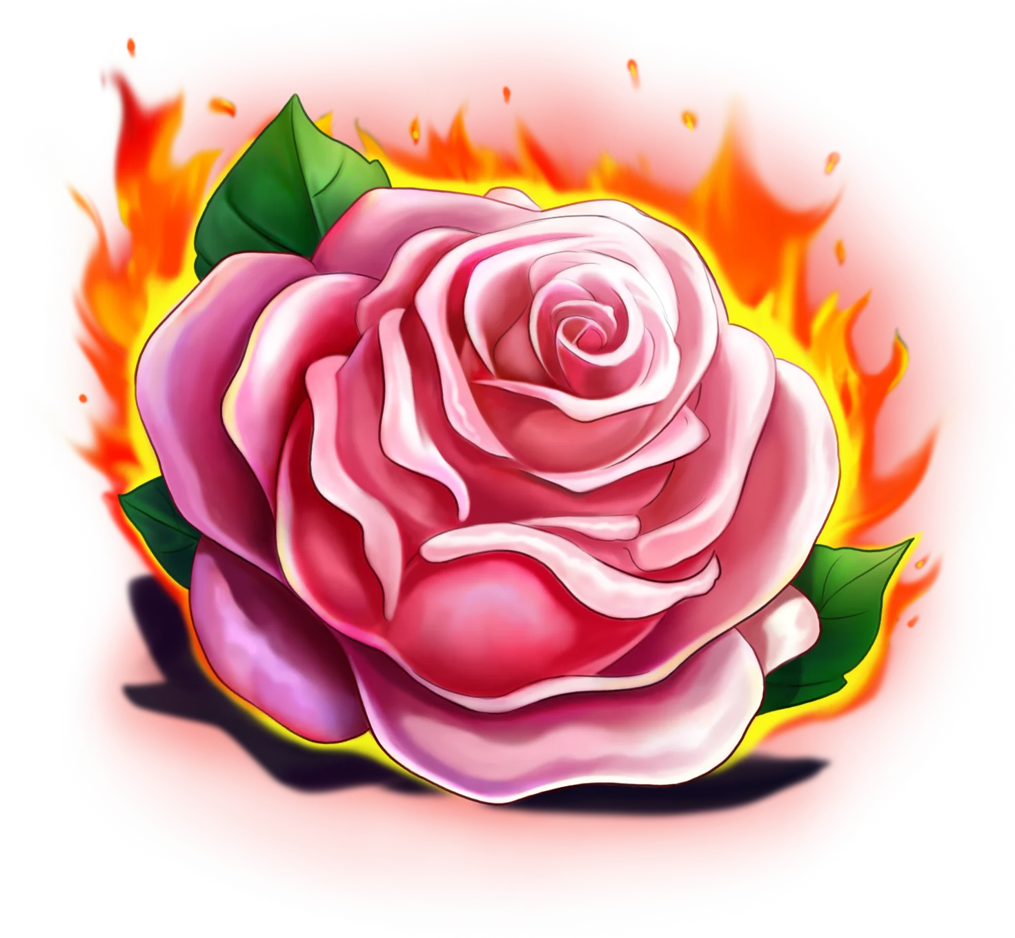 Rose