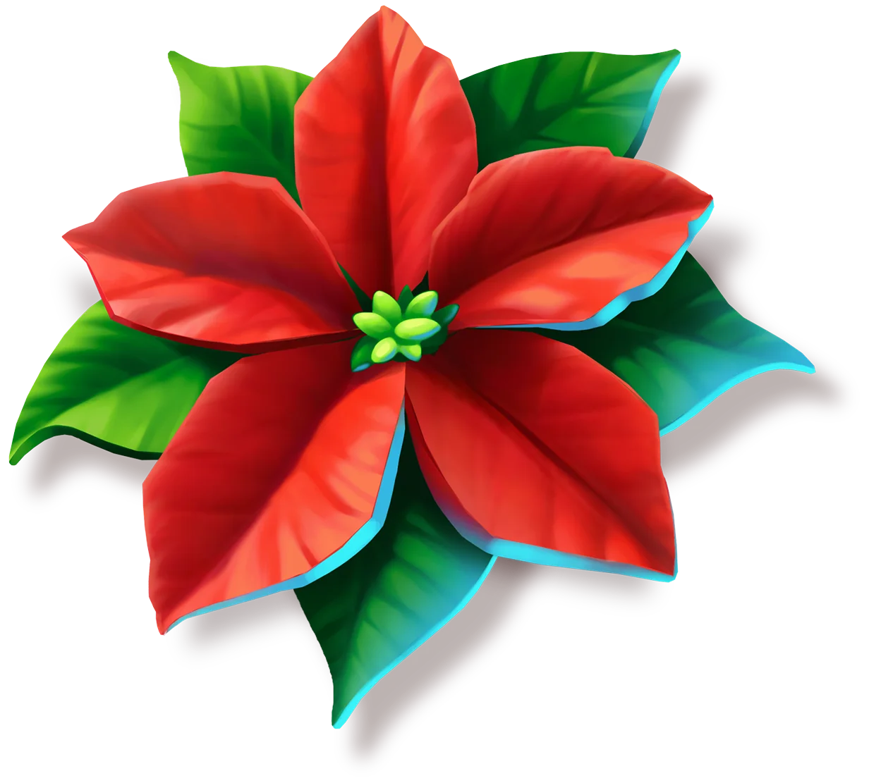 Poinsettia