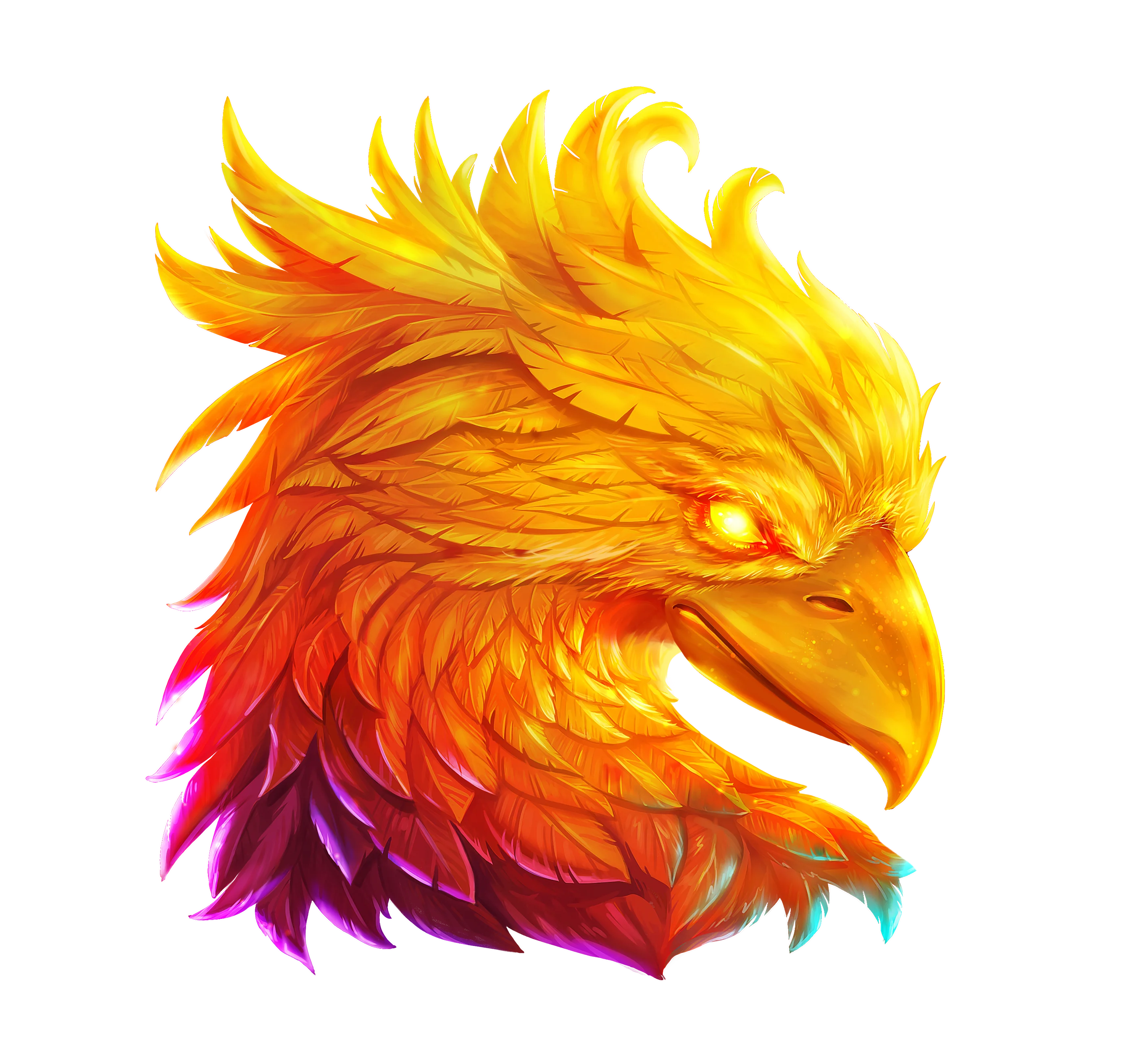 Wild Symbol
