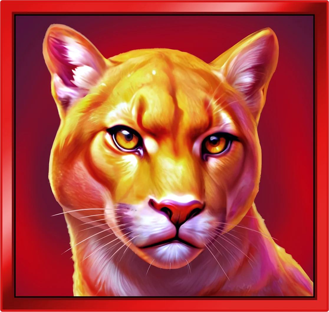 Cougar