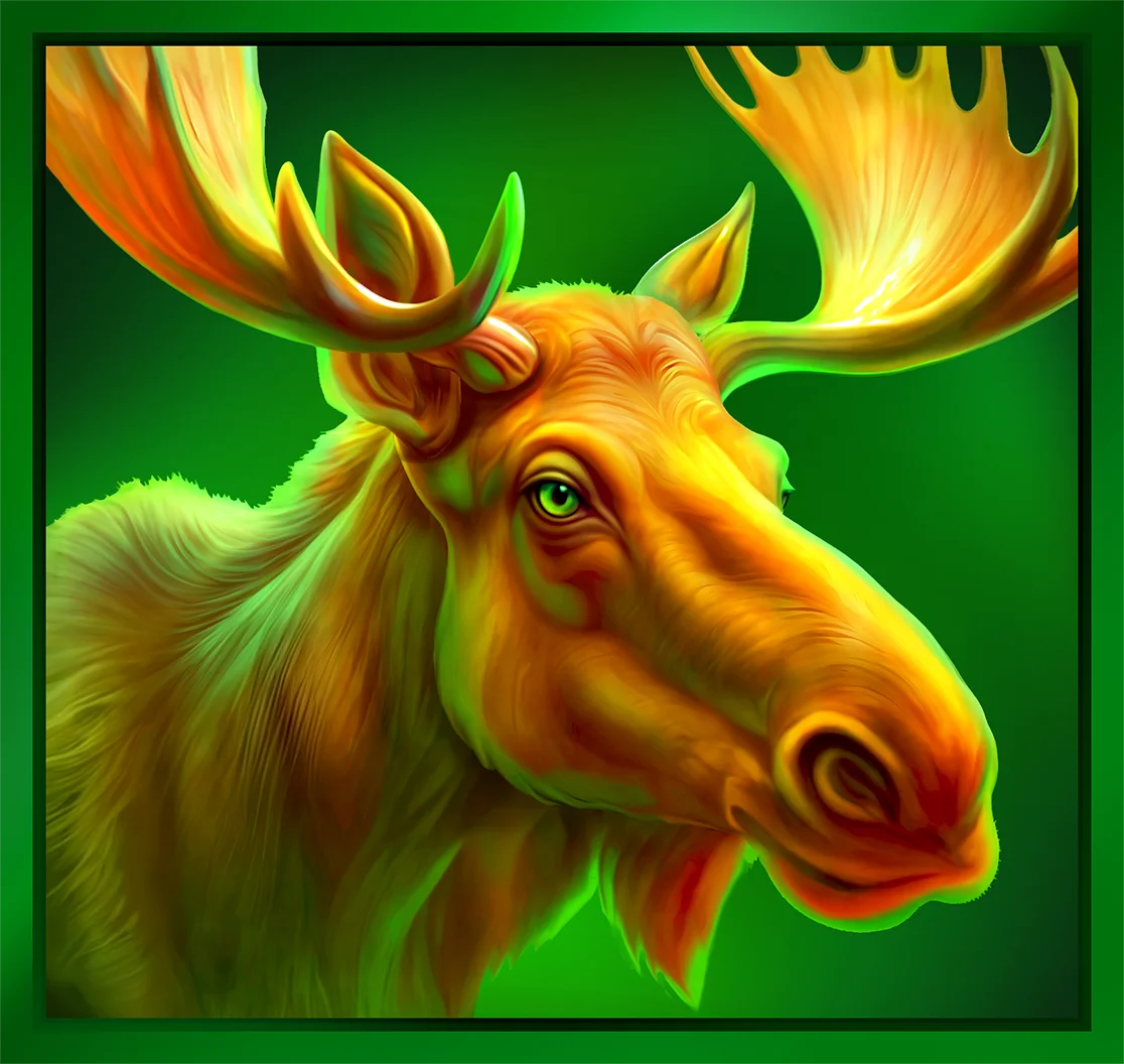 Moose
