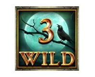Countdown Wild Symbol