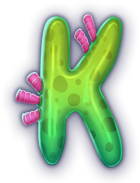 K