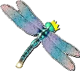 Dragonfly