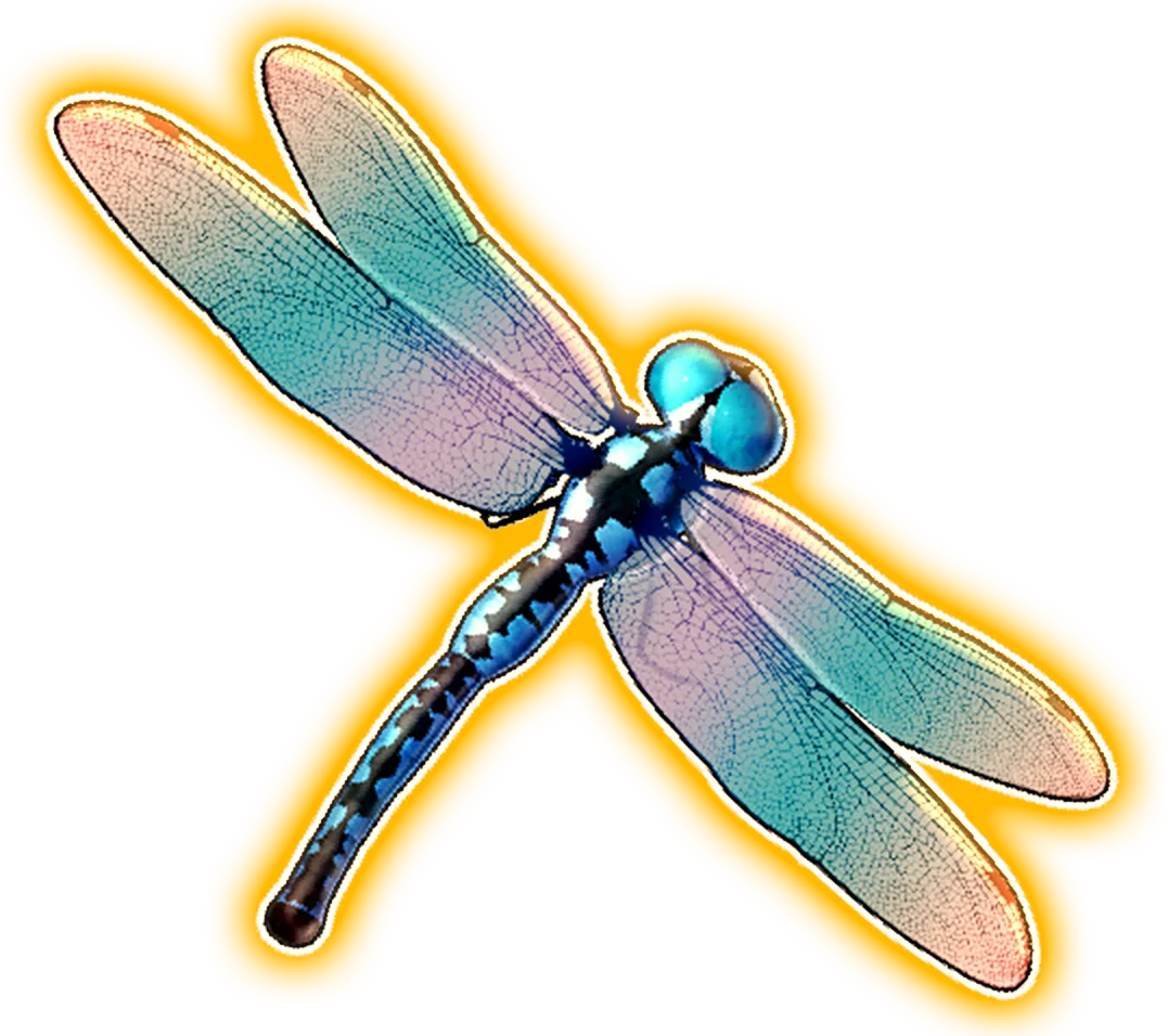 Dragonfly