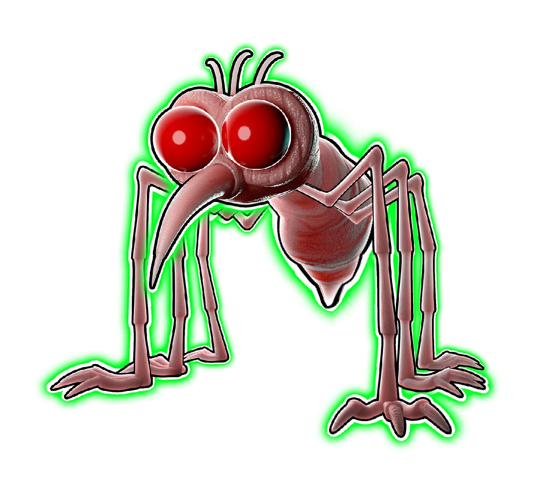 Insect