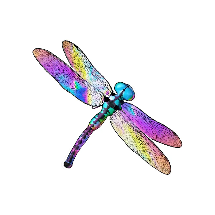Dragonfly