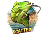 Scatter