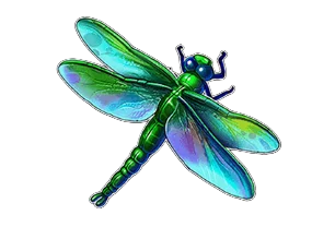 Mosquito