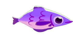 Purple Fish