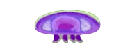 Purple Jellyfish