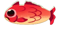 Red Fish