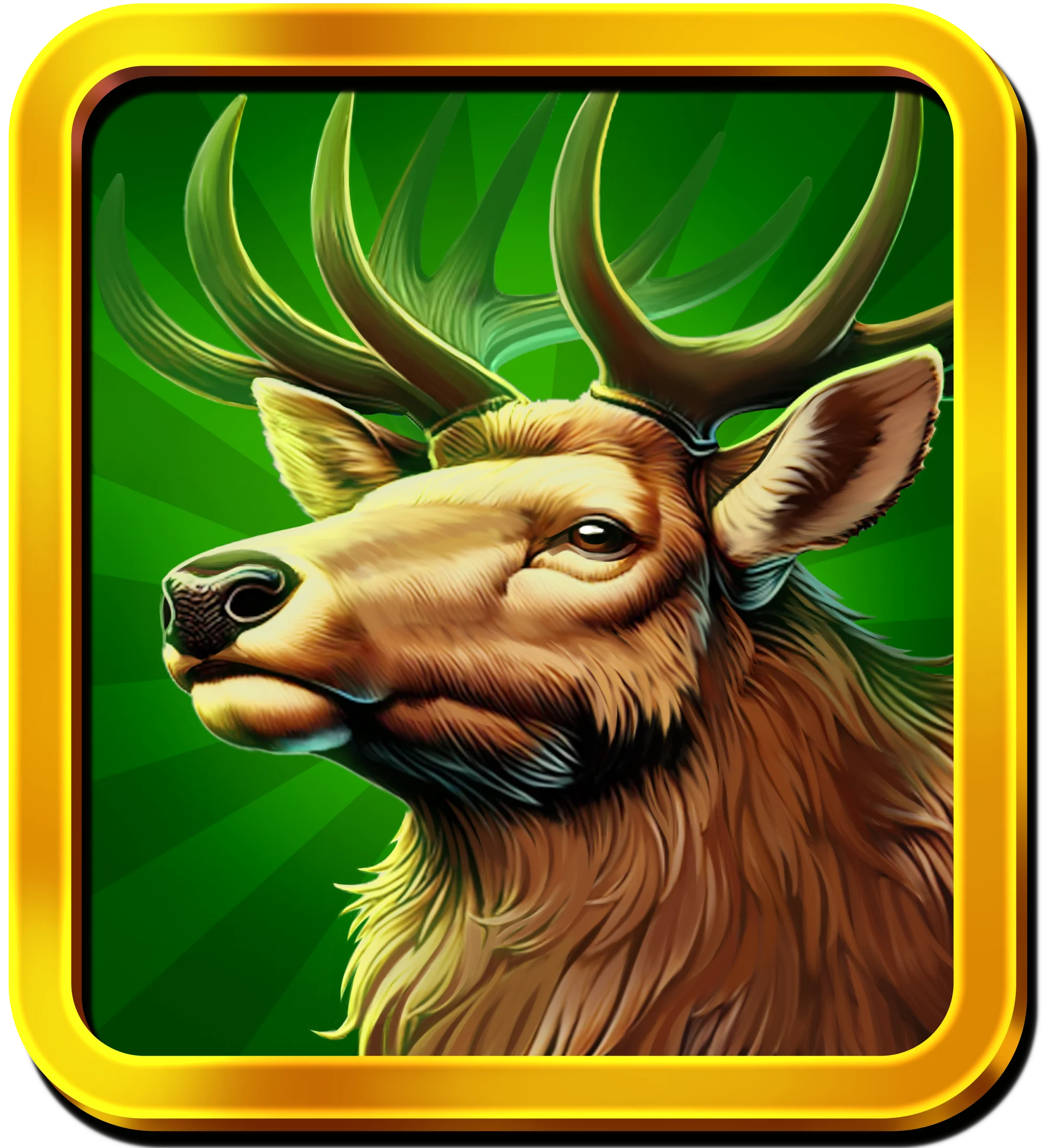 Elk