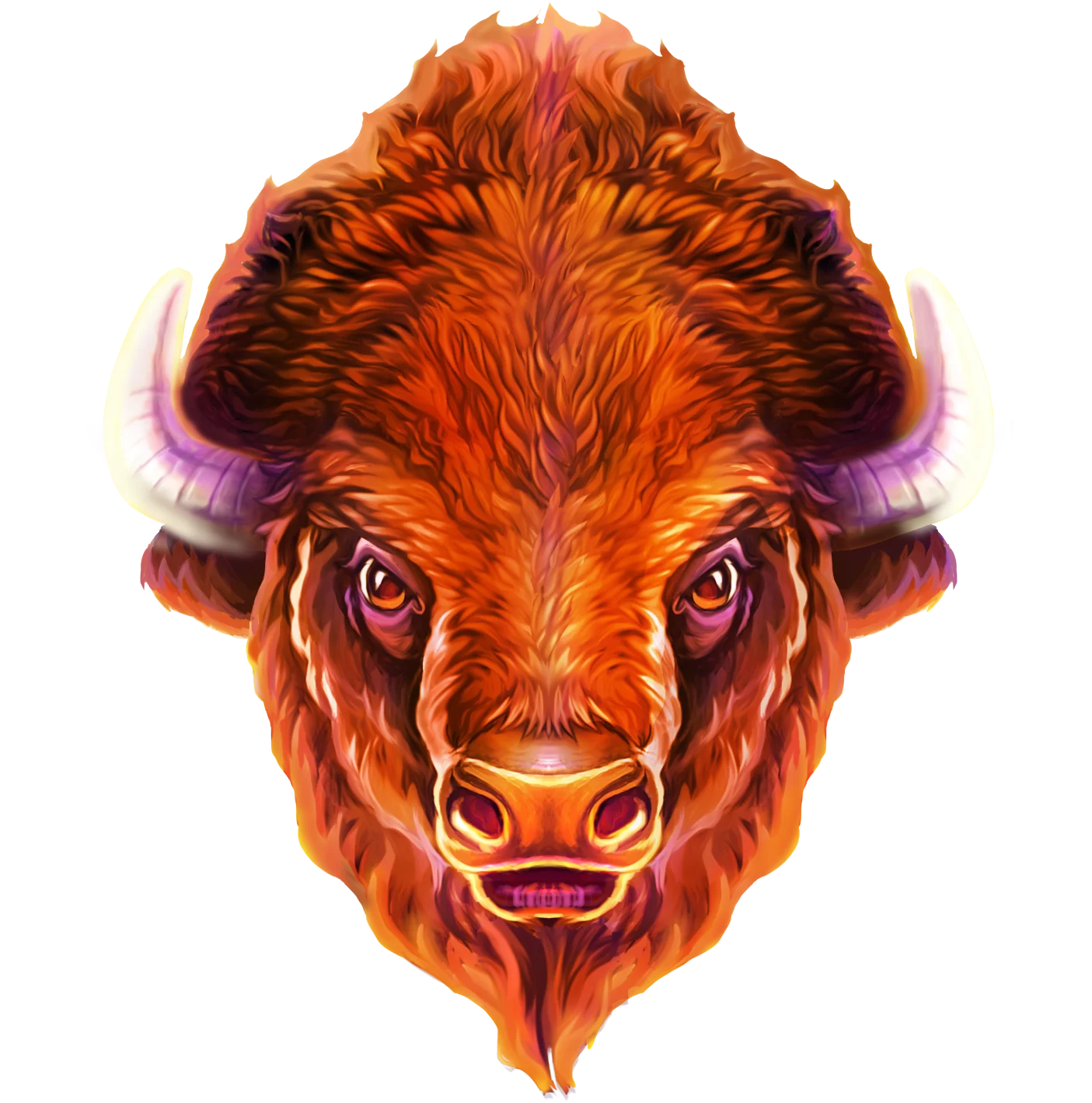 Bison