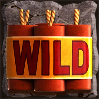 Wild Symbol