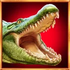 Croc