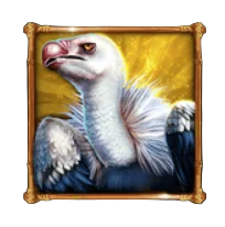 Vulture