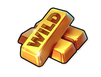Wild Symbol