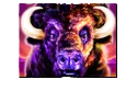 Buffalo