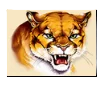 Cougar