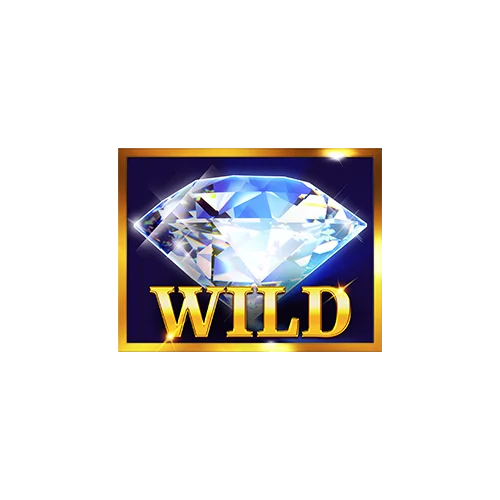 Wild Symbol