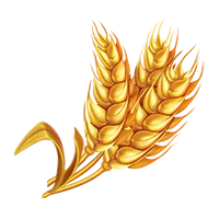 Wheat