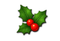 Holly