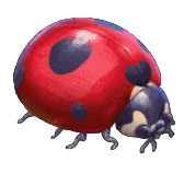 Ladybird
