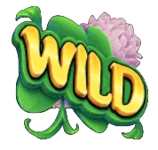 Wild Symbol