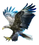 Eagle