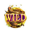 Wild Symbol