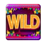 Wild Symbol