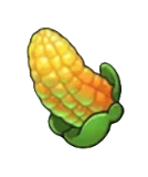Corn
