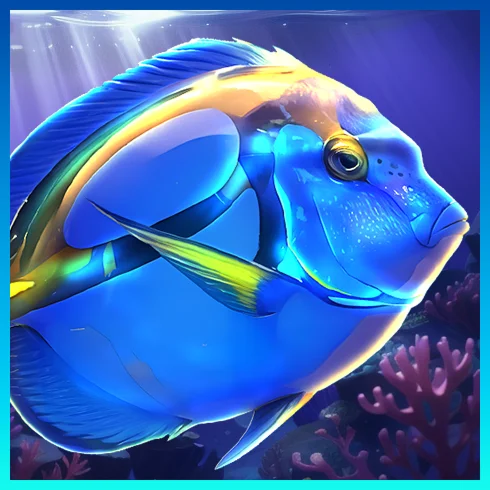 Blue Tang