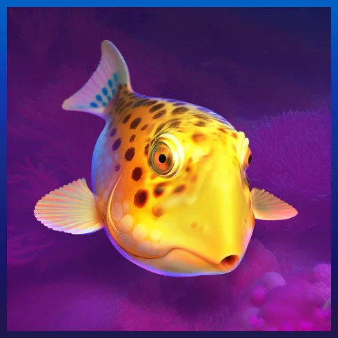Pufferfish