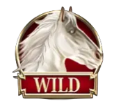 Wild Symbol