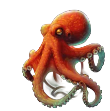 Octopus