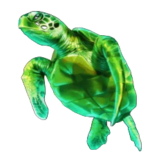 Turtle