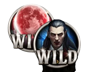 Wild Symbol