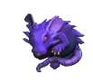 Rat