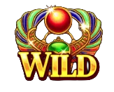 Wild Symbol