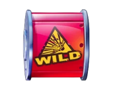 Wild Symbol