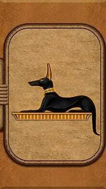 Jackal