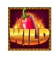 Wild Symbol